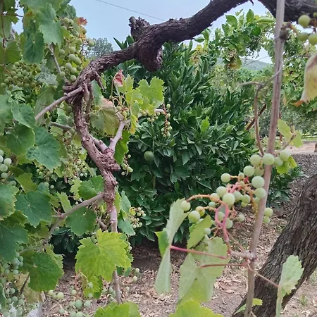 Apartment Lily House Čapljina