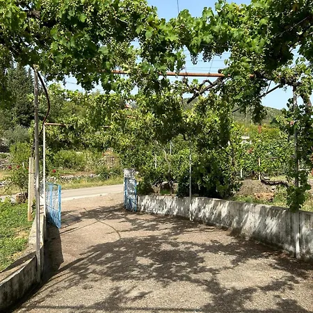 Lily House * Capljina