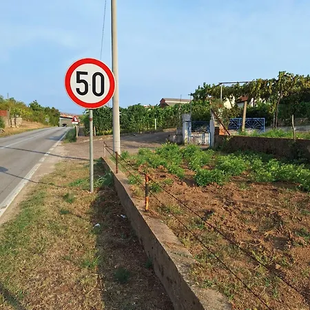 Apartment Lily House *