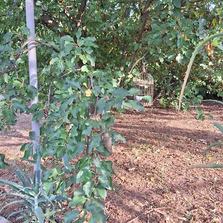 Lily House Apartman *